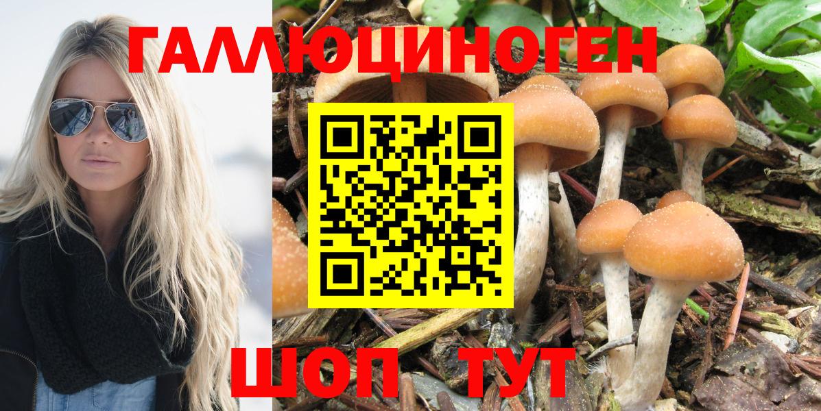 Кохма  Галлюциногенные грибы прущие грибы  Галлюциногенные грибы прущие грибы  Вход с VPN 